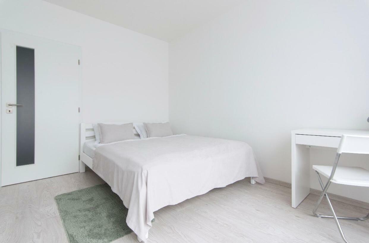 Free Parking In Garage Karolina Plazza, New Cosy Studio With All You Need Prag Exteriör bild